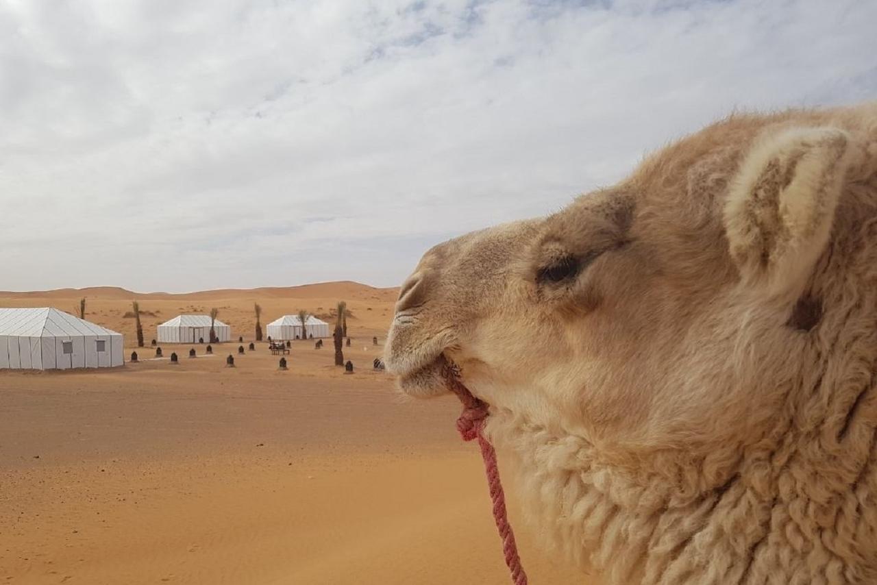 Готель Desert Indigo Мерзуга Екстер'єр фото